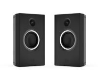 Monitory
