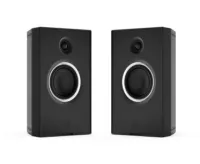 Monitory