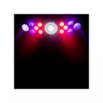 ADJ Eliminator Furious Five RG - 5