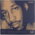 Serato Performance Series 12cali Roc Raida (para) - 2