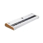 Arturia AstroLab 88 - 2