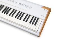 Arturia AstroLab 88 - 7