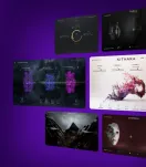 Native Instruments KOMPLETE 15 Collector’s Edition (Download) - 3