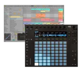 Ableton Push 2 + Ableton Live 12 Intro - 2