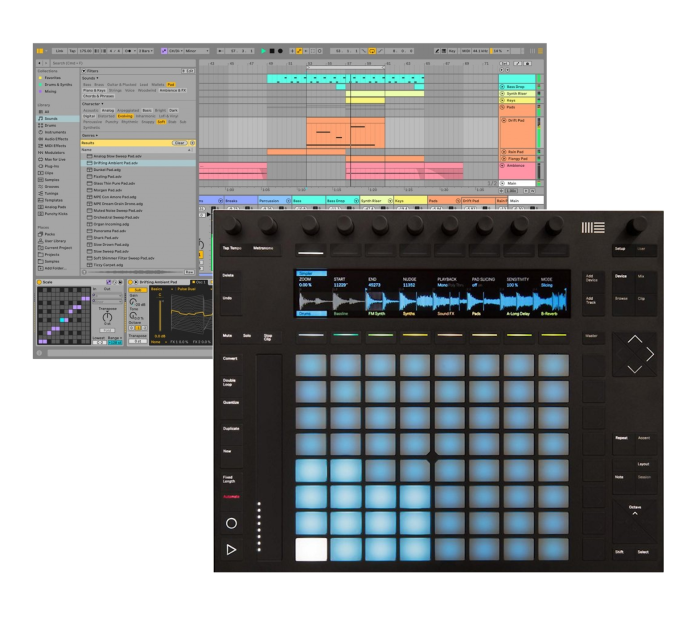 Ableton Push 2 & Ableton Live 12 Intro