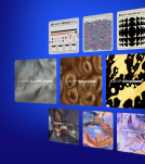 Native Instruments KOMPLETE 15 Ultimate Upgrade z KOMPLETE Select (Download) - 7